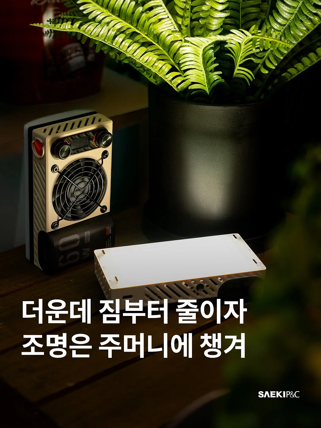 바실리사 로얄제리 로얄콤 1