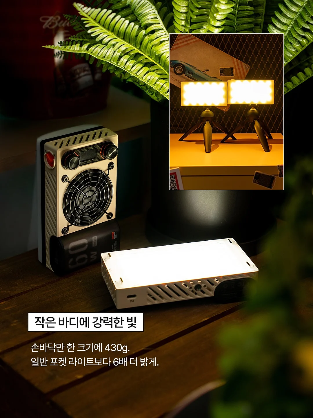 바실리사 로얄제리 로얄콤 2