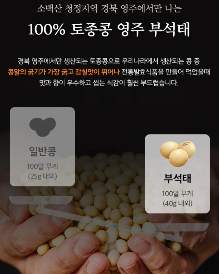 뷔스티에 세트 4