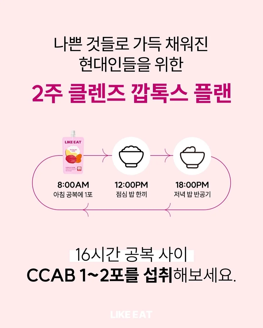 애기광어트릿 11