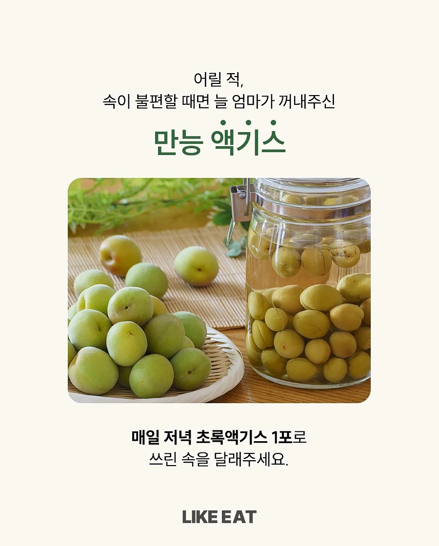 애기광어트릿 16