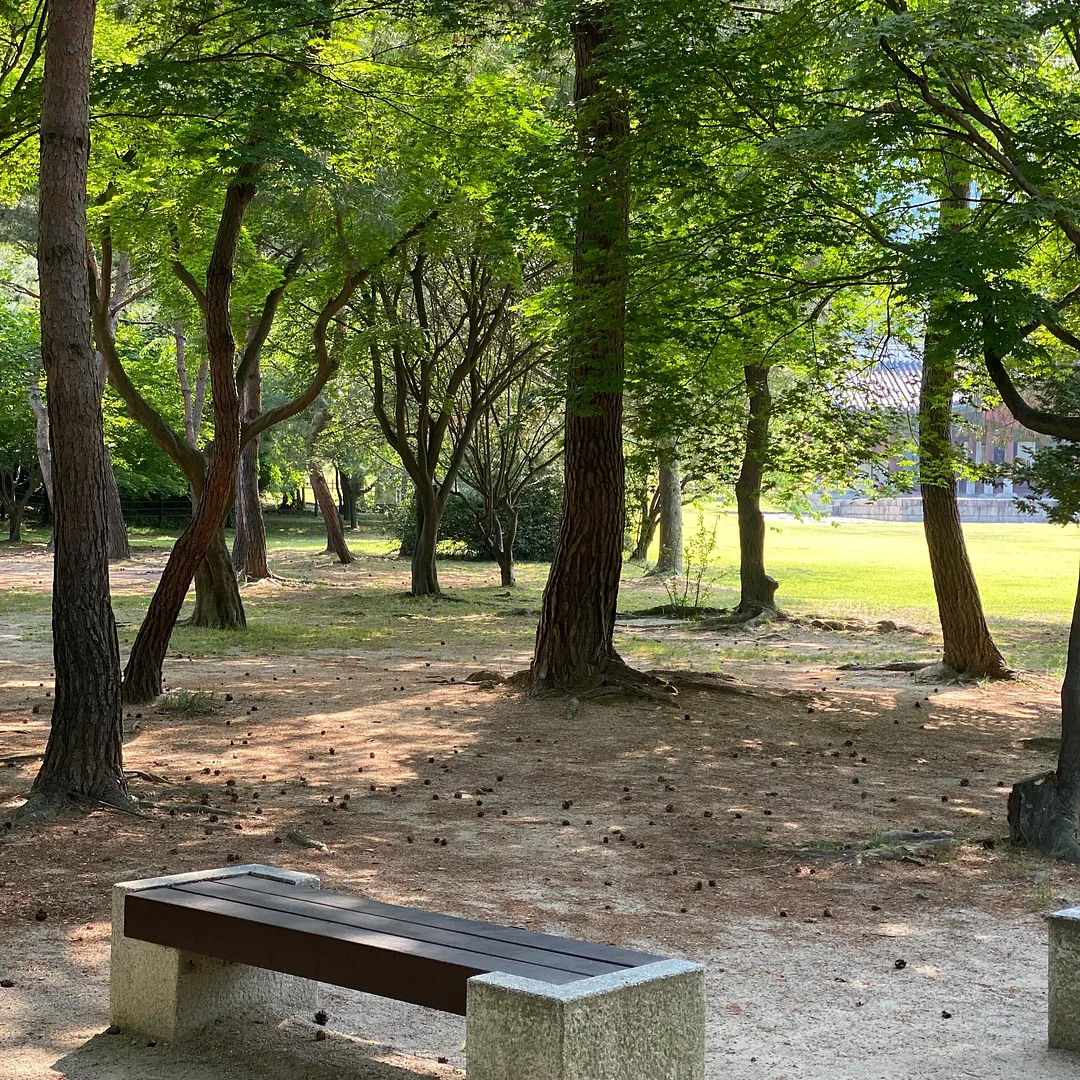 시부야 블라우스 2