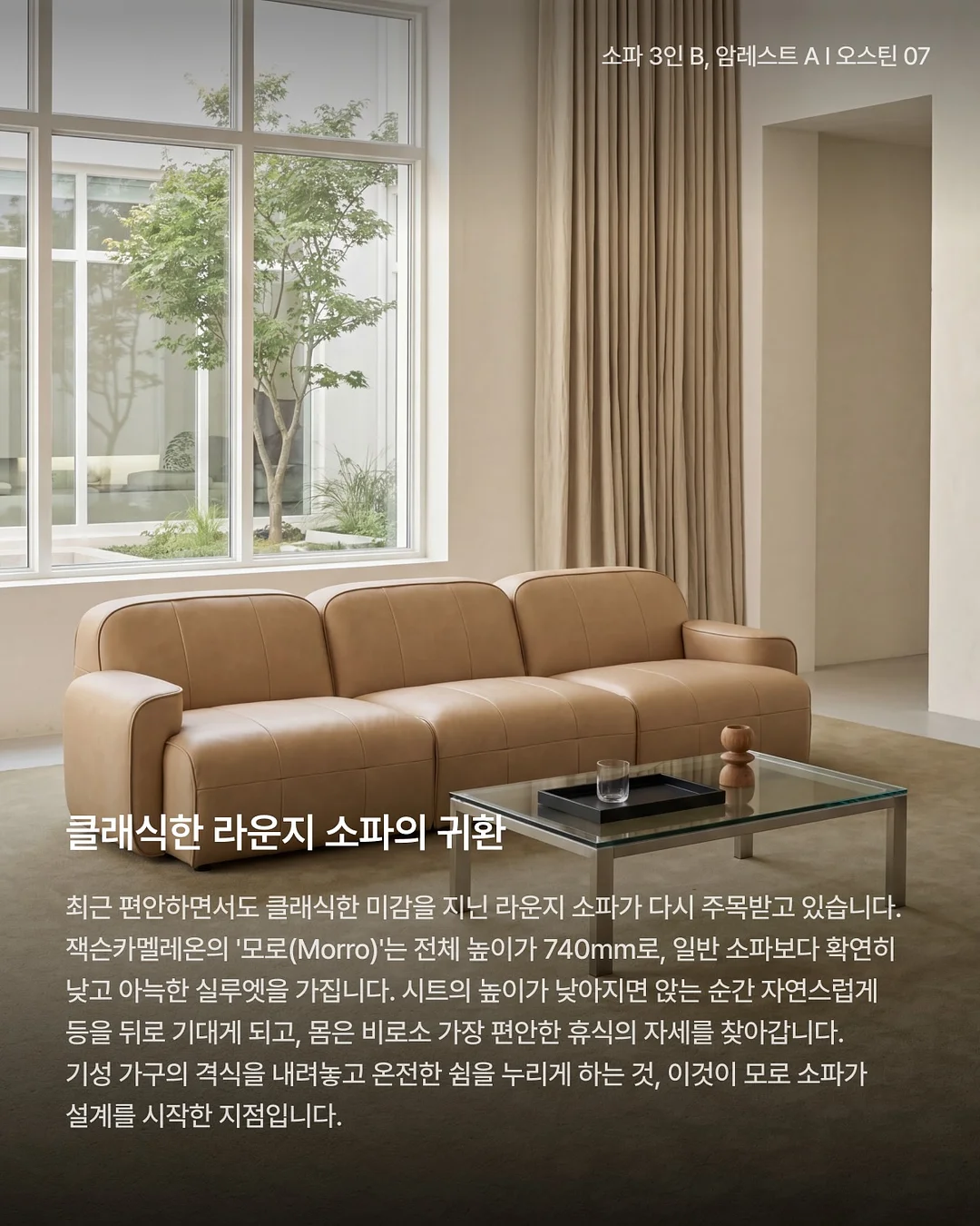 사페라비 와인 2
