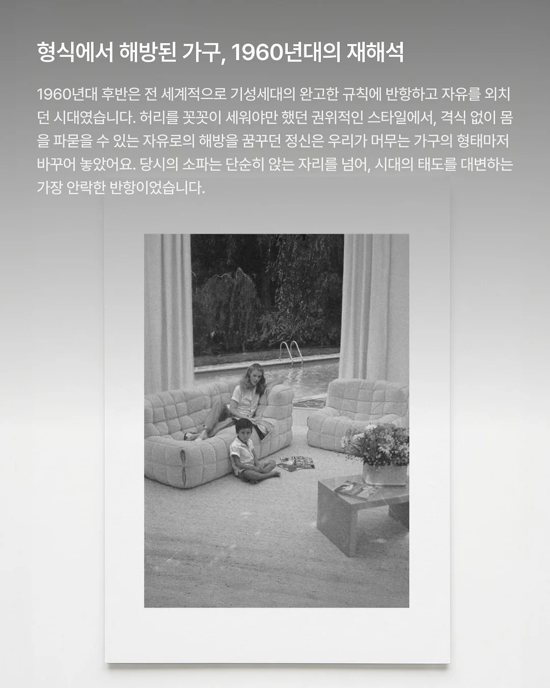 사페라비 와인 3