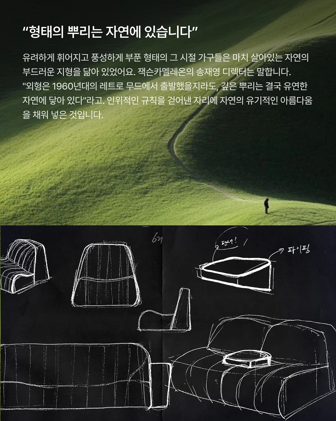 사페라비 와인 4