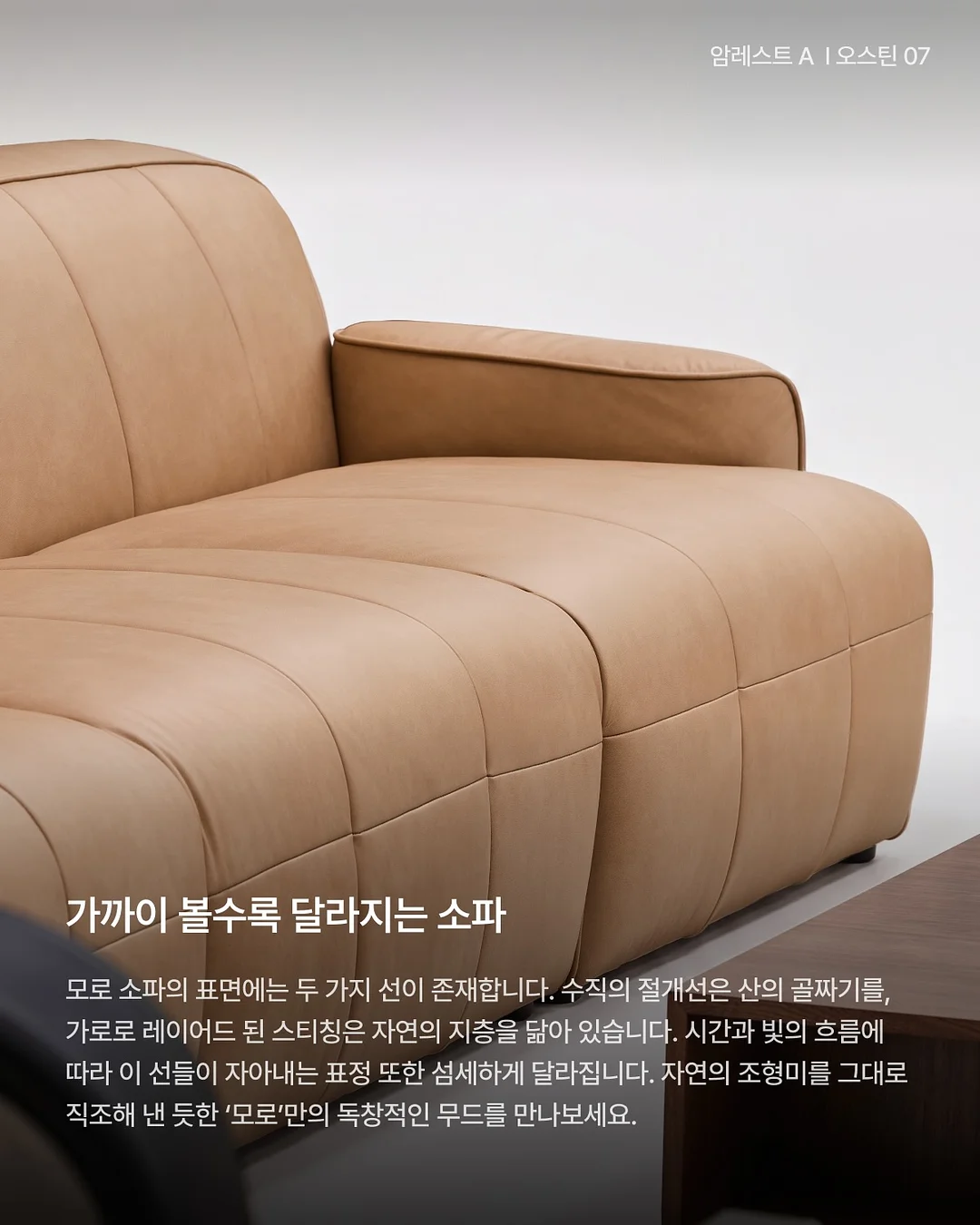 사페라비 와인 5