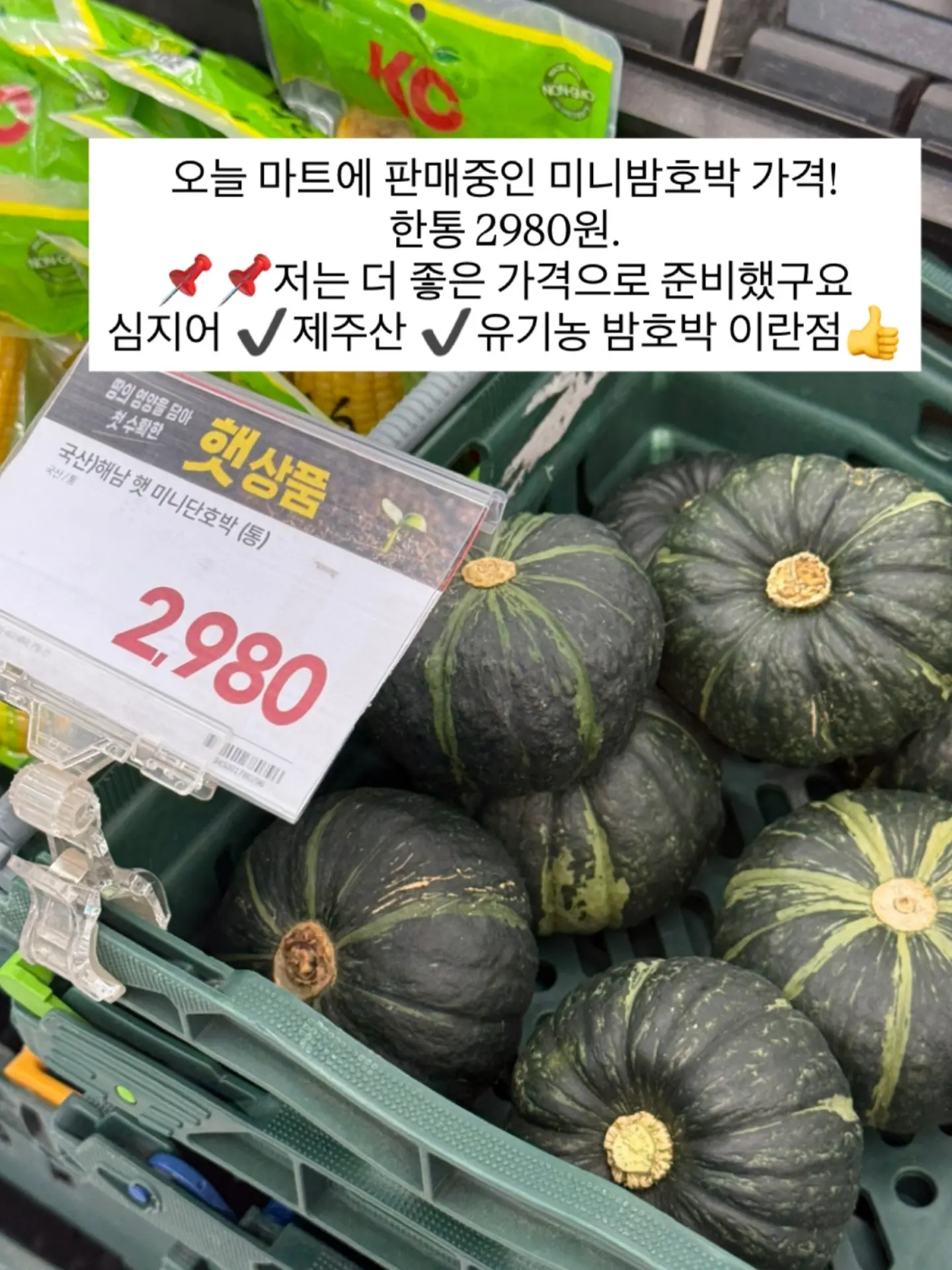 꼴레지앙 여름용 양말 15
