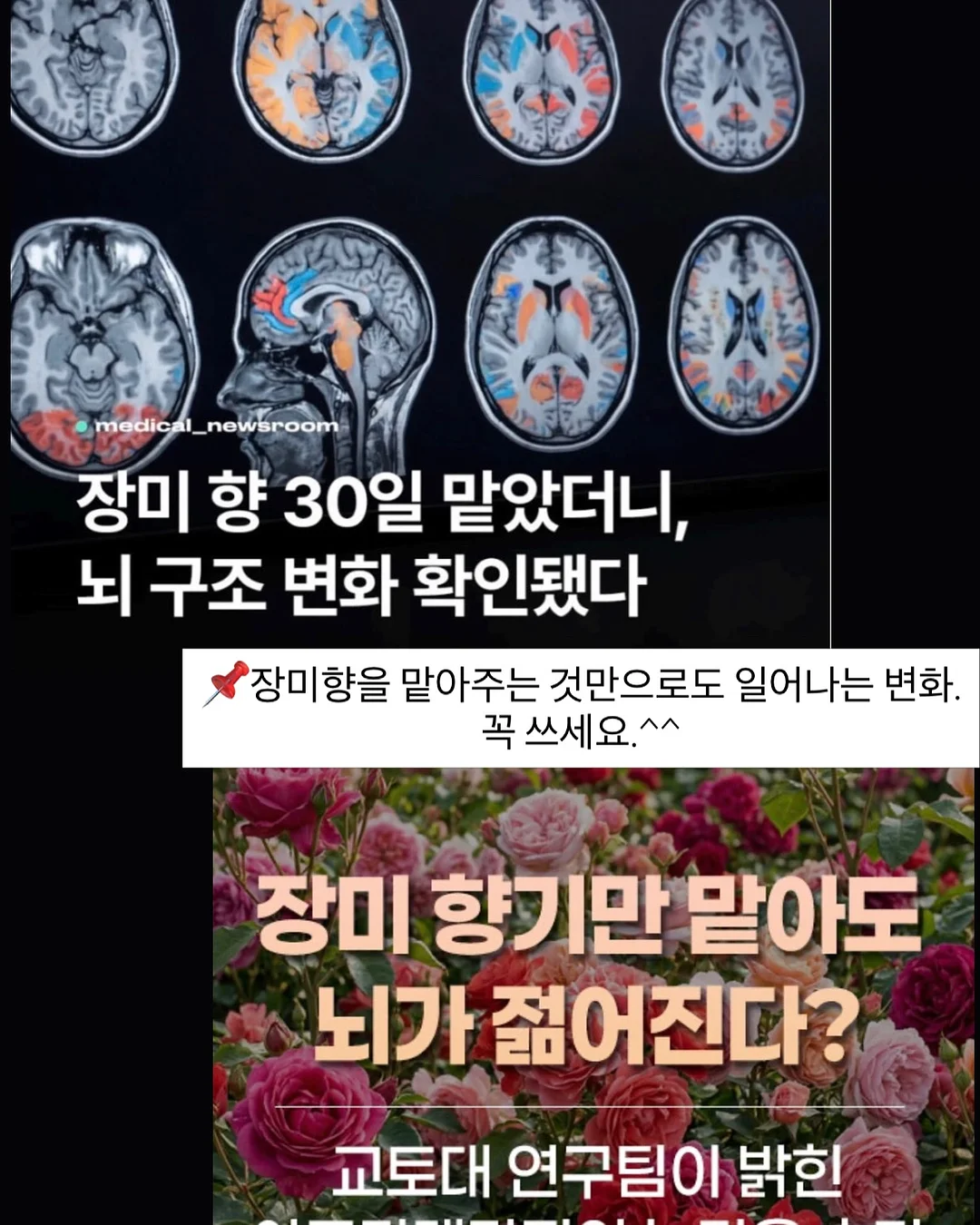 엔타로커피 20블렌딩 5