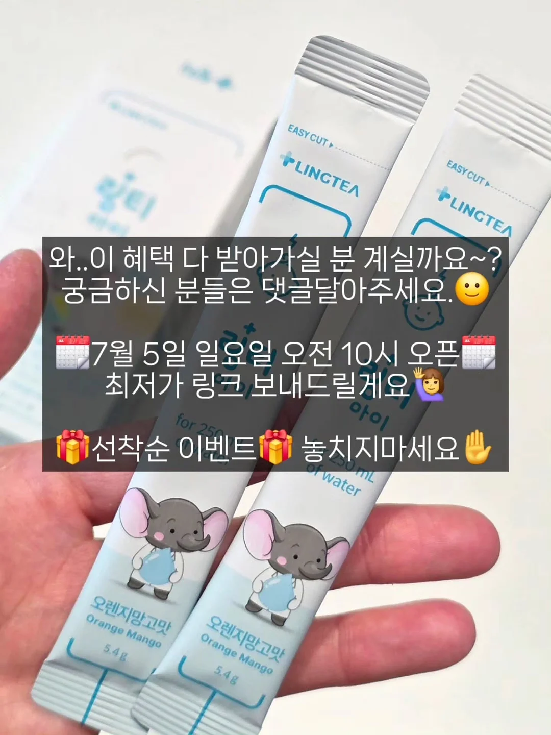 단독진행 팬츠 7