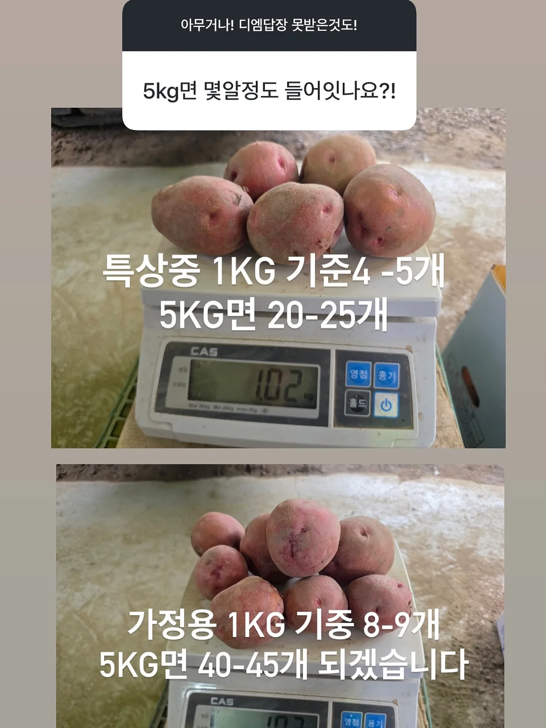 그늘막 웨건 4