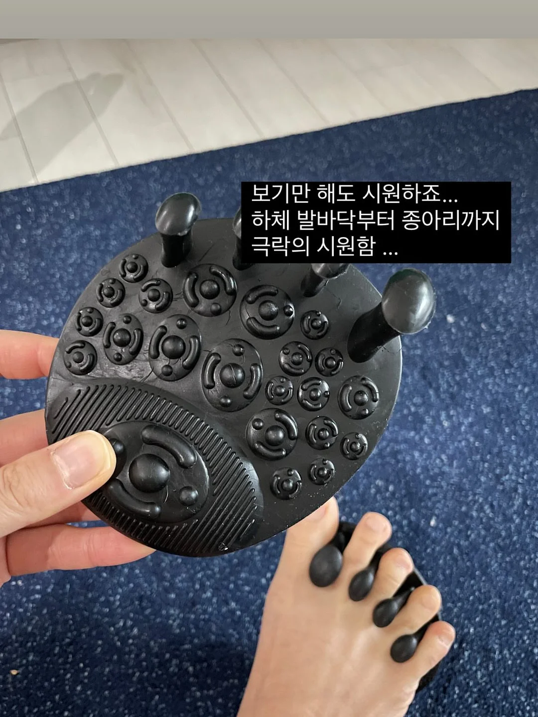 볼뉴머 16