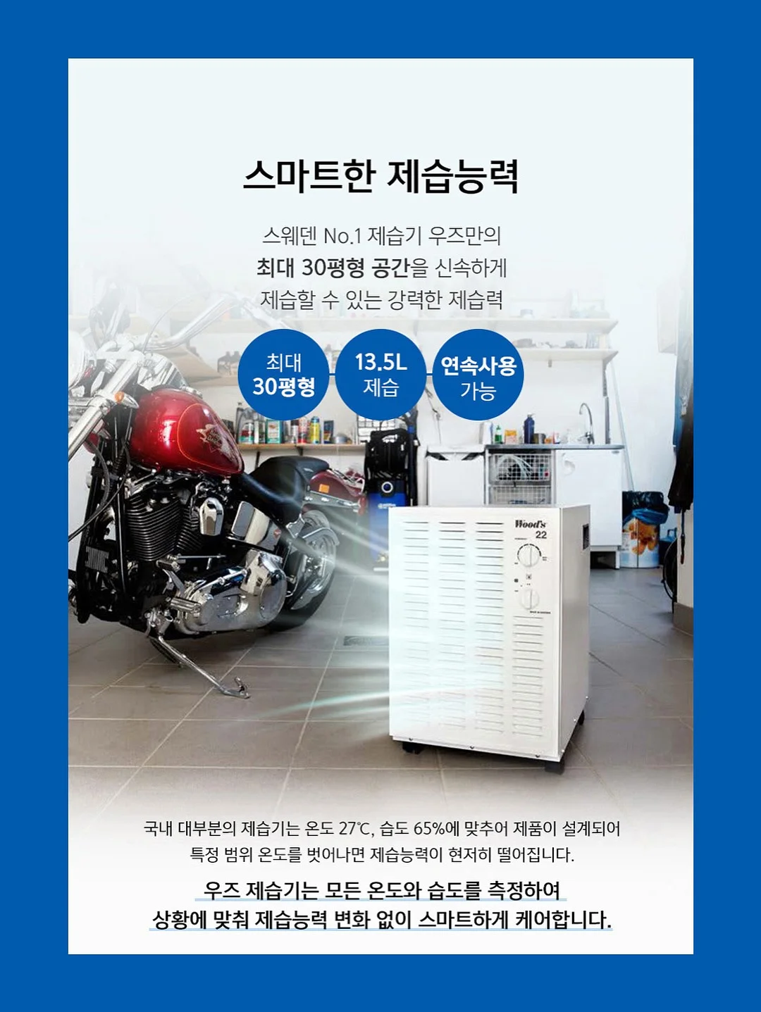 벚꽃인물케이크 12
