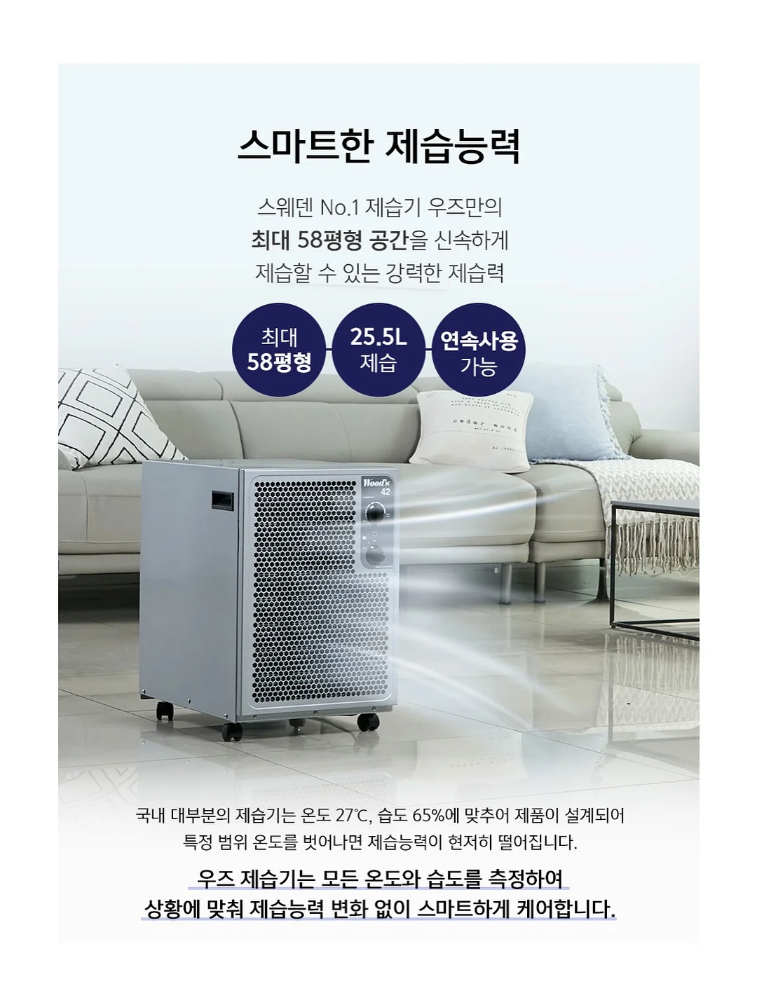 벚꽃인물케이크 18