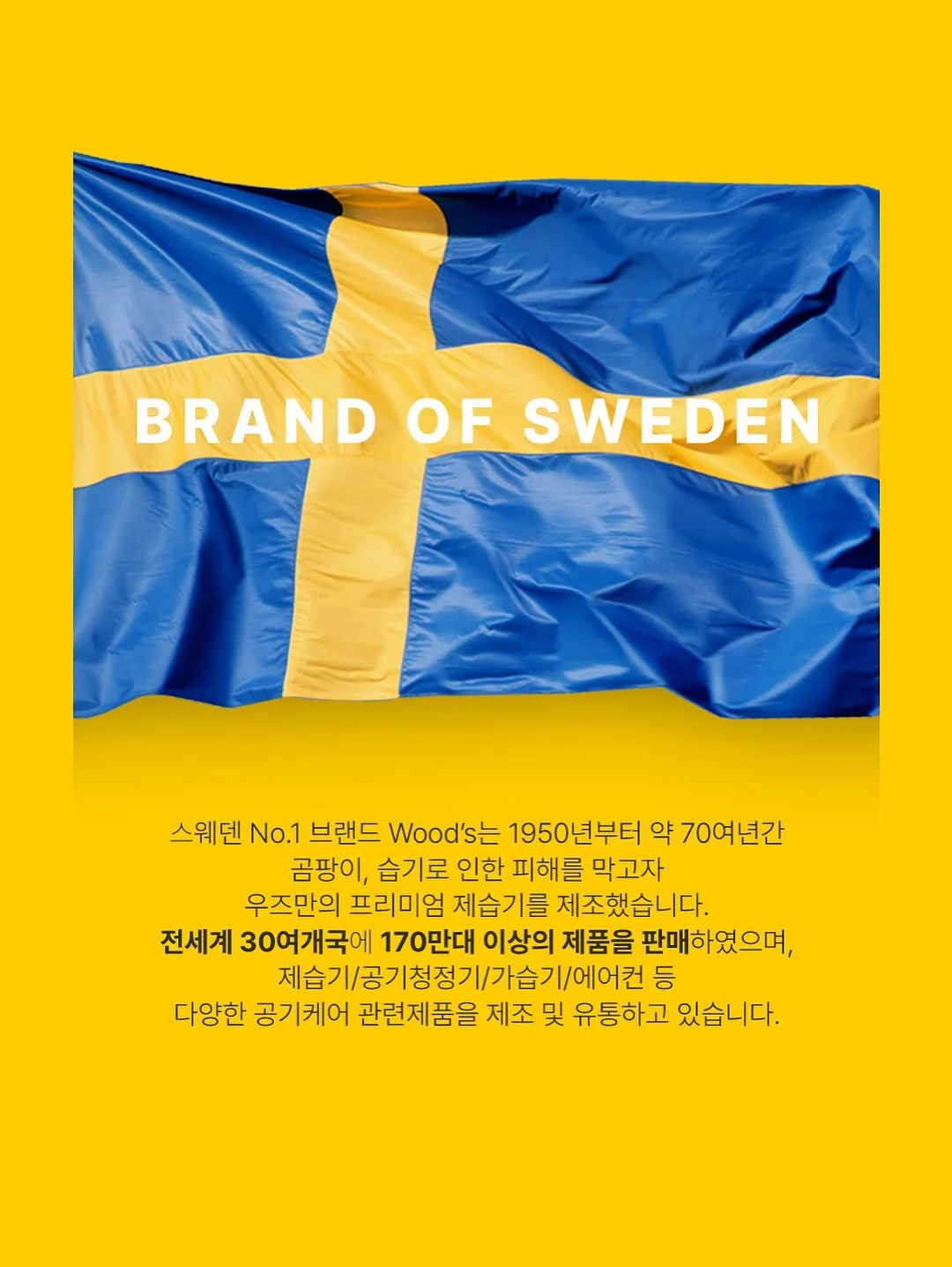 벚꽃인물케이크 8