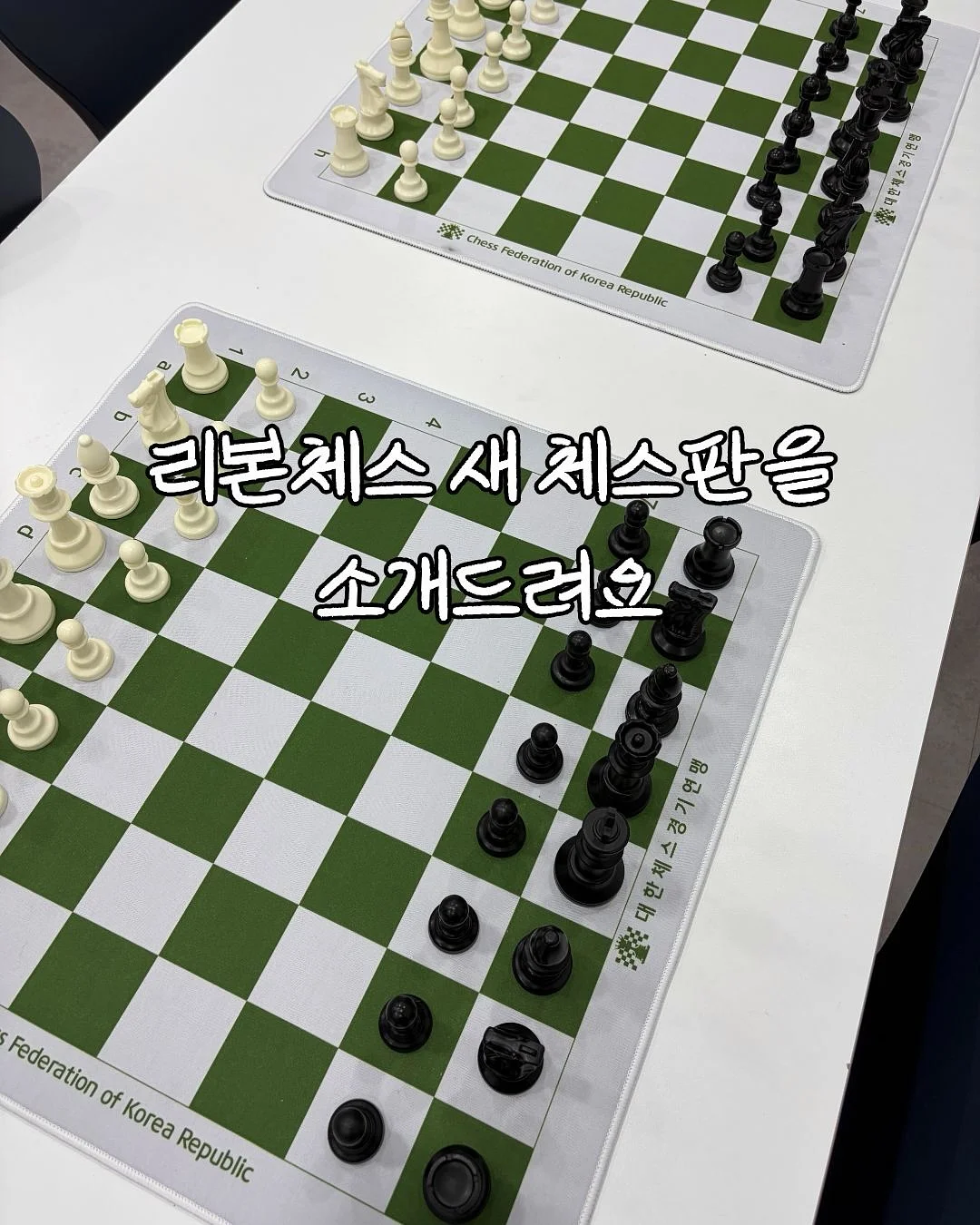 썸머 캐리오버 18품목 2