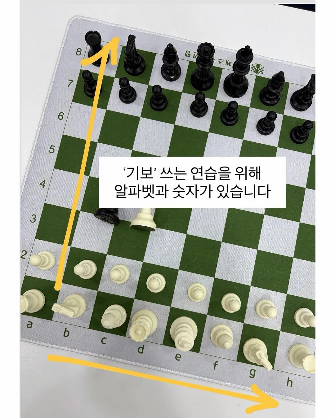 썸머 캐리오버 18품목 3