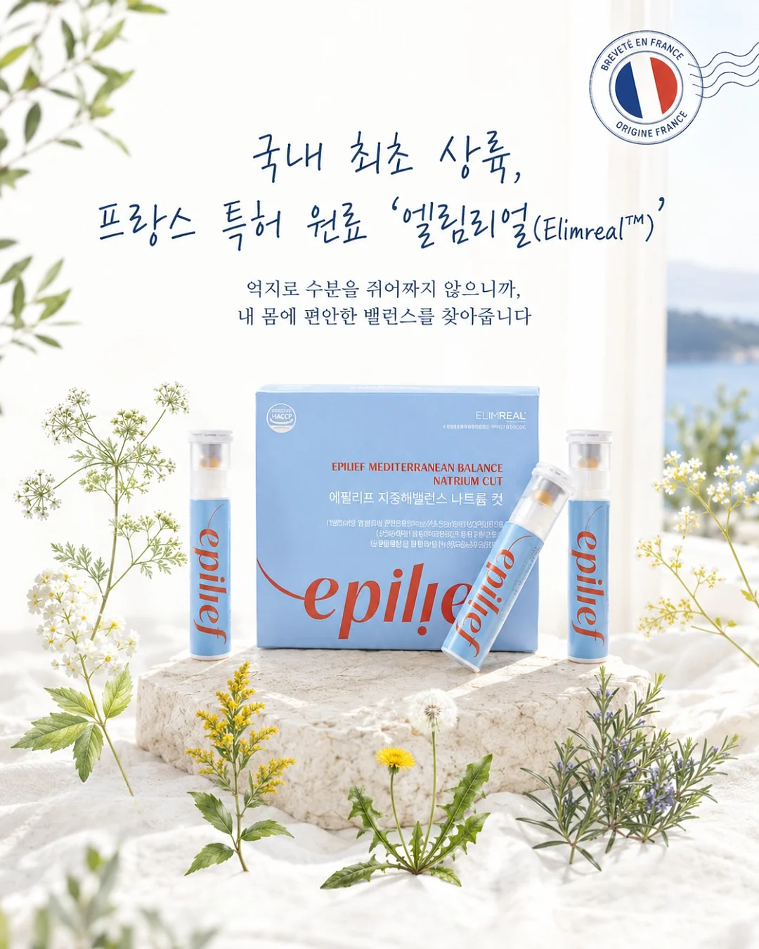 별도트 토끼 풀커버 케이스 2