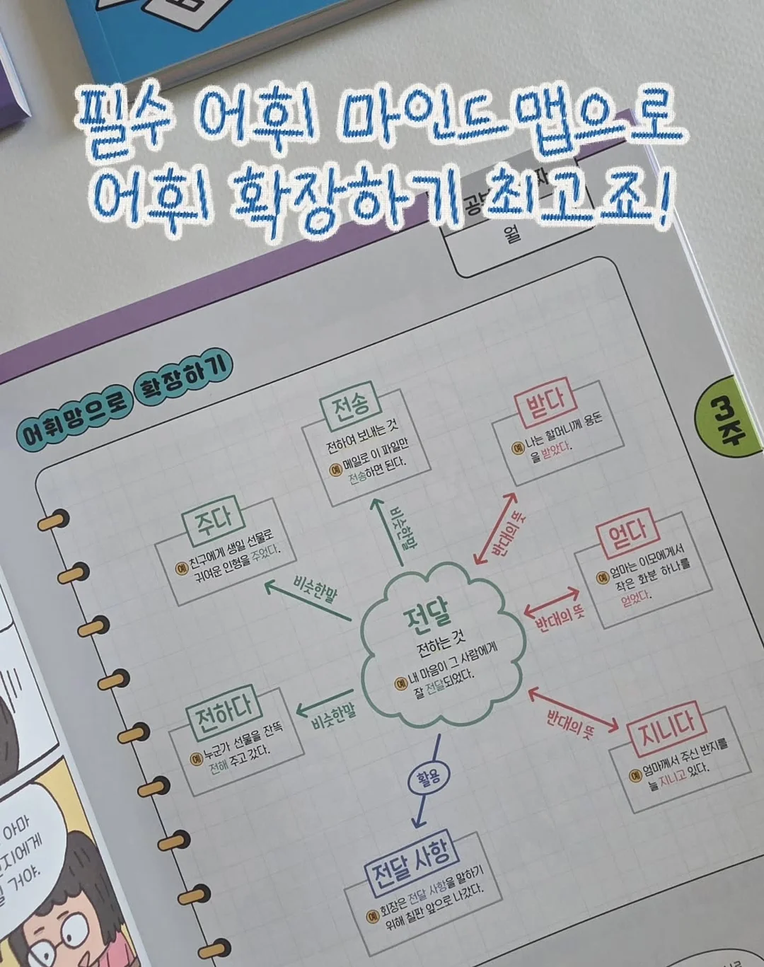 보떼덤 엘릭시어 베리어 선스틱 SPF50 / PA++++ 14