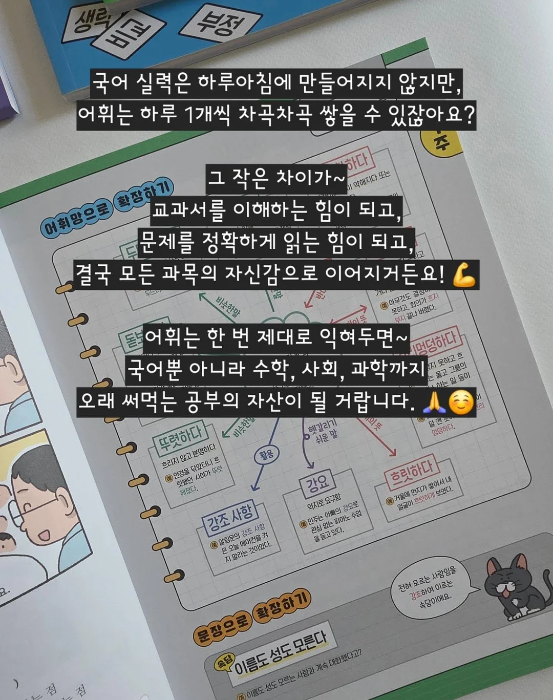 보떼덤 엘릭시어 베리어 선스틱 SPF50 / PA++++ 16