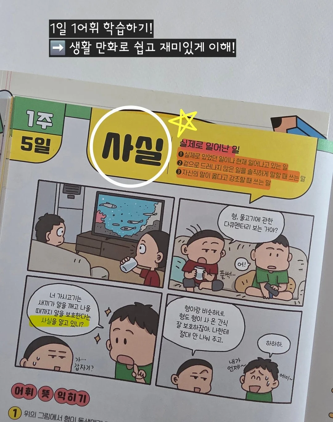 보떼덤 엘릭시어 베리어 선스틱 SPF50 / PA++++ 7