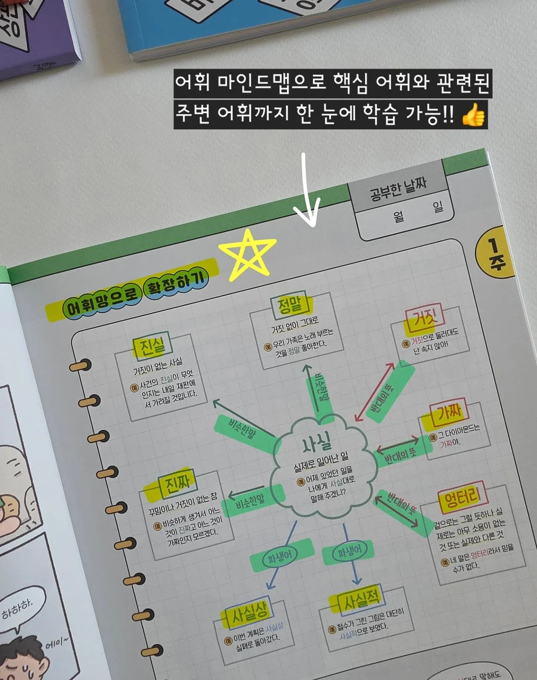 보떼덤 엘릭시어 베리어 선스틱 SPF50 / PA++++ 9