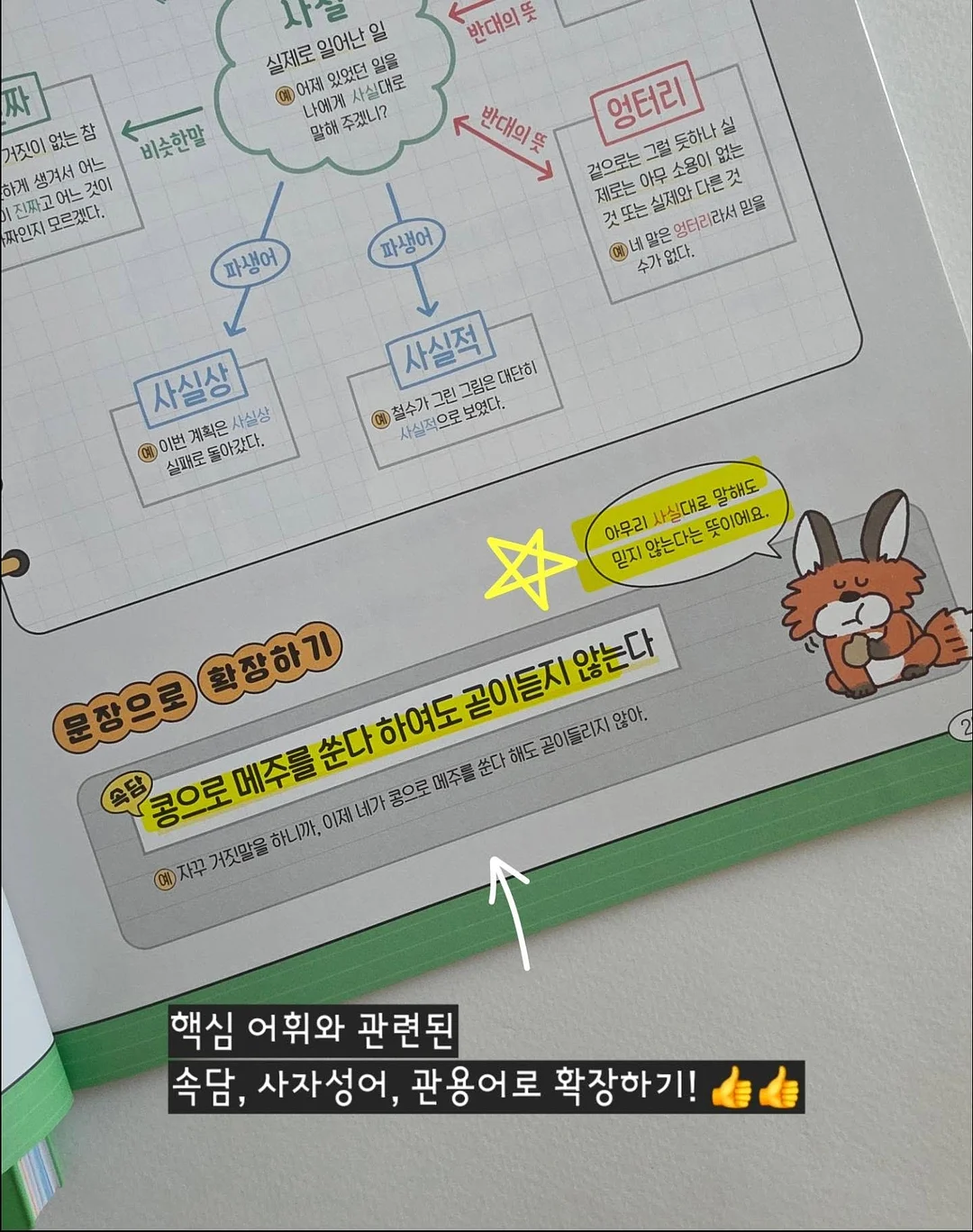 보떼덤 엘릭시어 베리어 선스틱 SPF50 / PA++++ 10