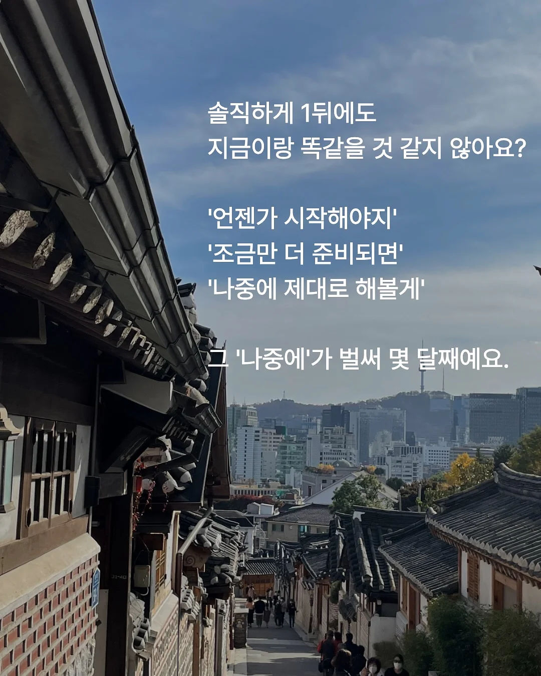THE ANIMALSOBSERVATORY 26ss 반팔 티셔츠 5