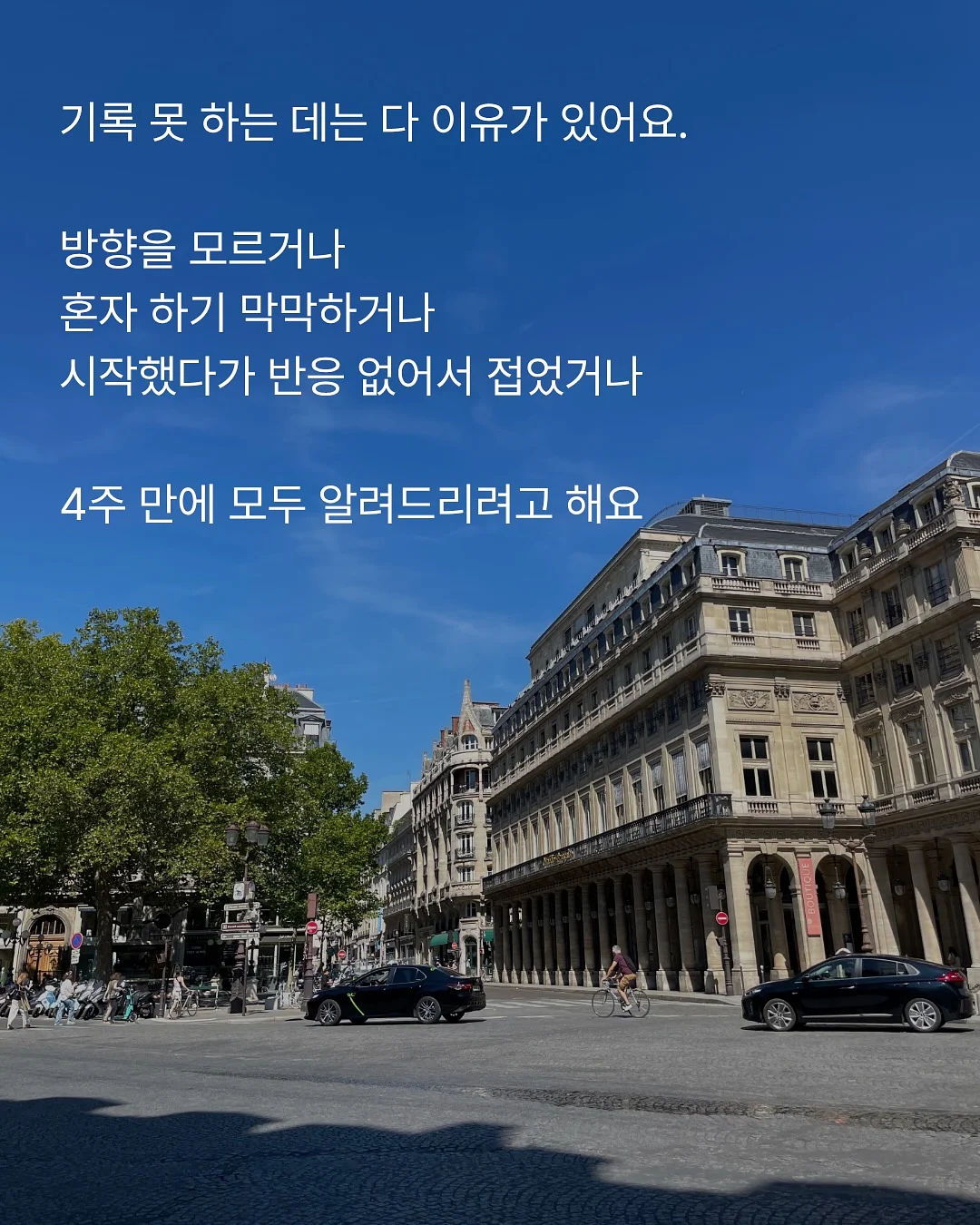 THE ANIMALSOBSERVATORY 26ss 반팔 티셔츠 7