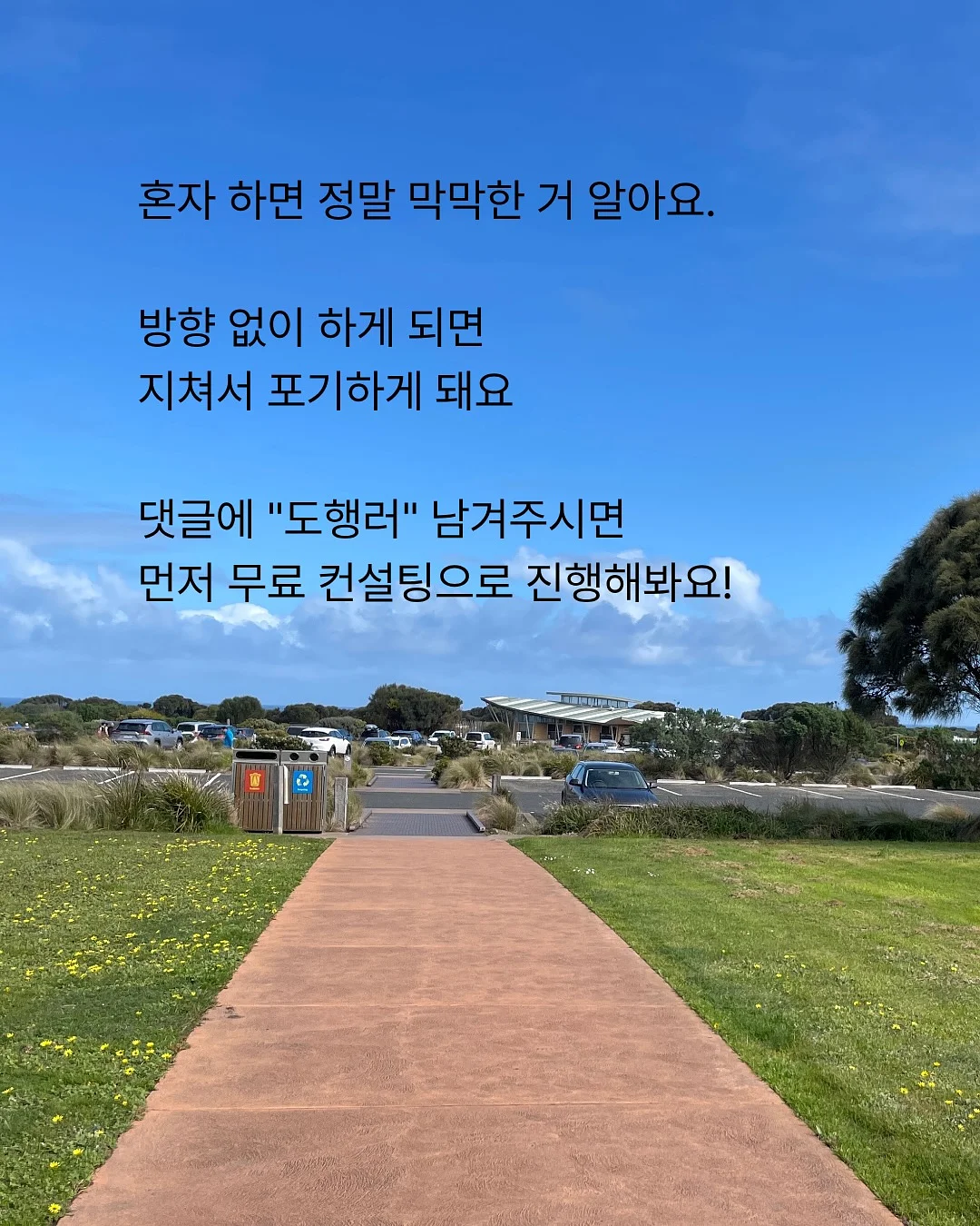 THE ANIMALSOBSERVATORY 26ss 반팔 티셔츠 8