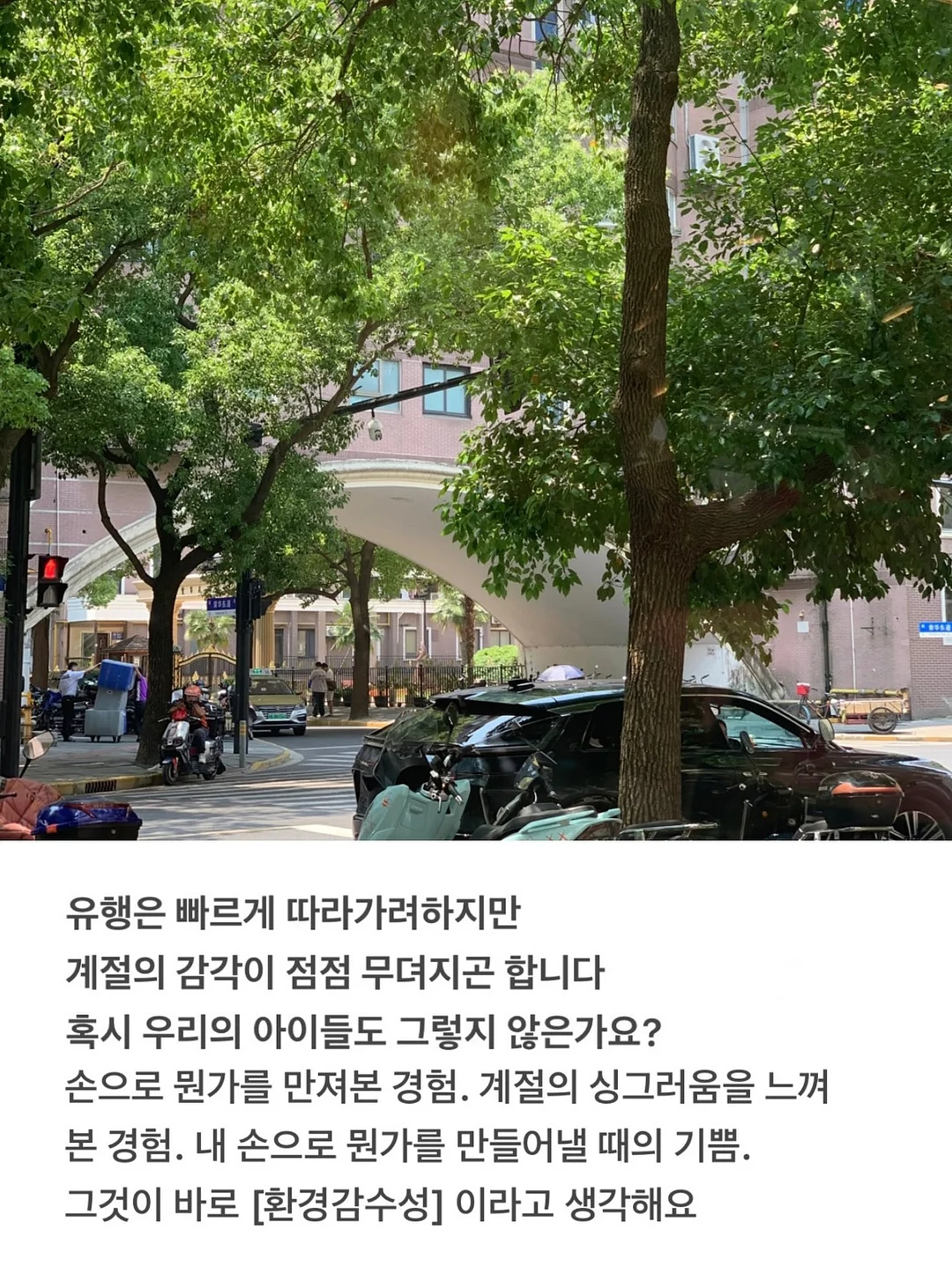 포켓몬스터 런치박스 2