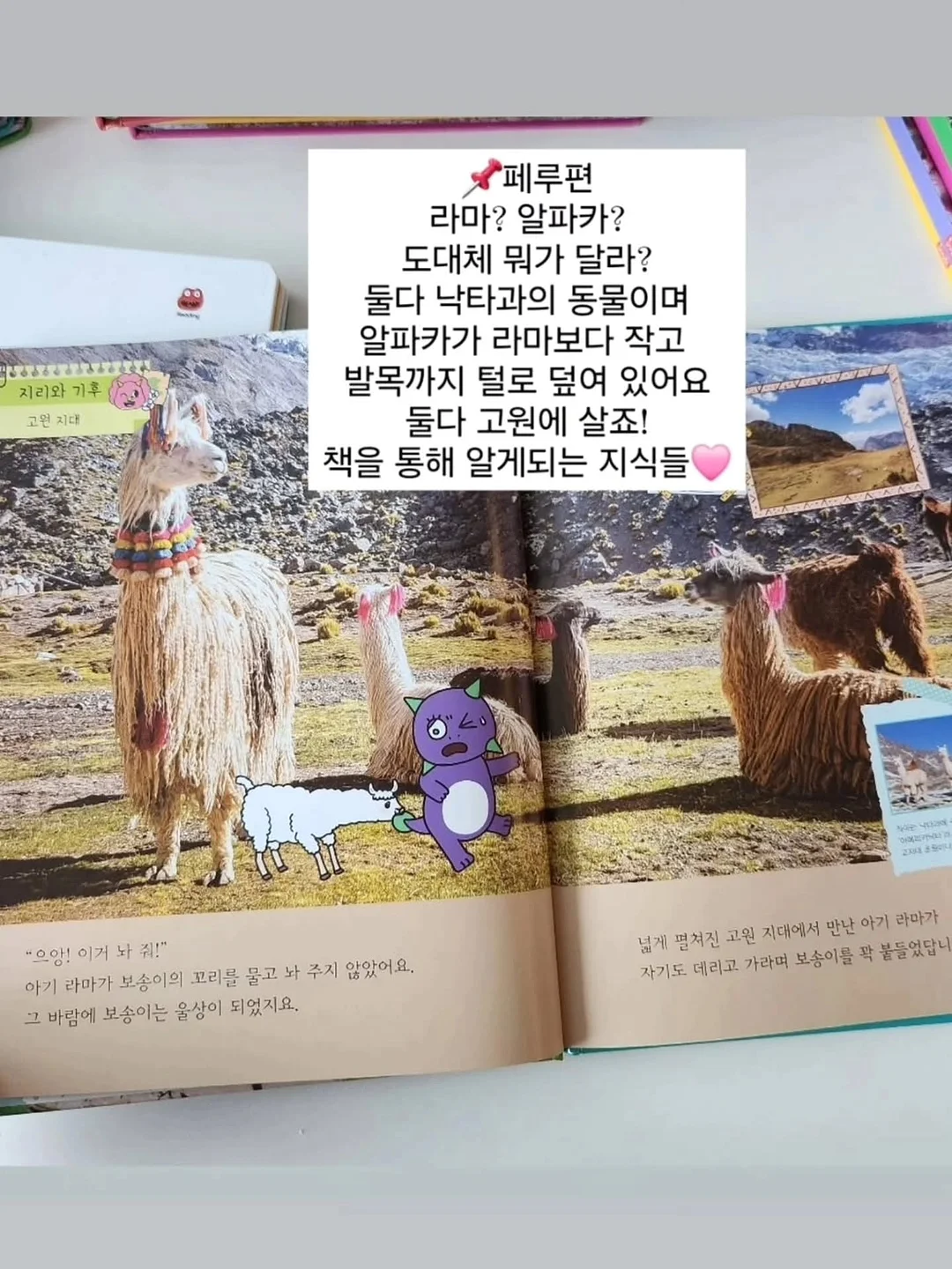잇츠크렌베리 6