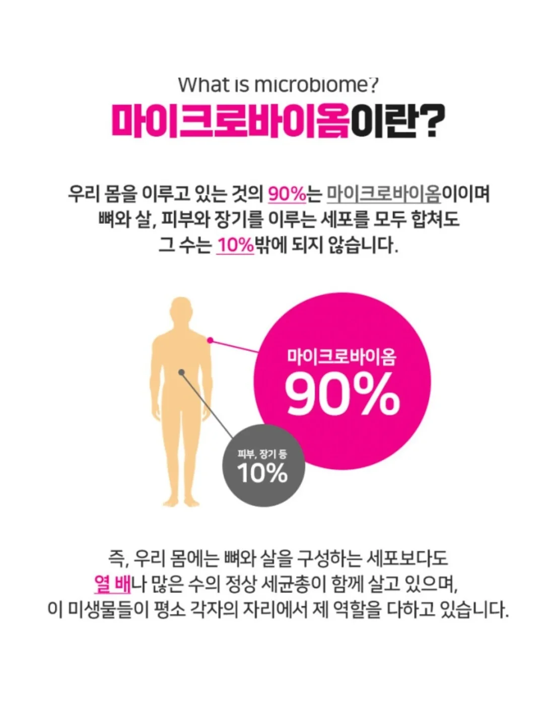 오승민 작가 <밤의 공작새> 5