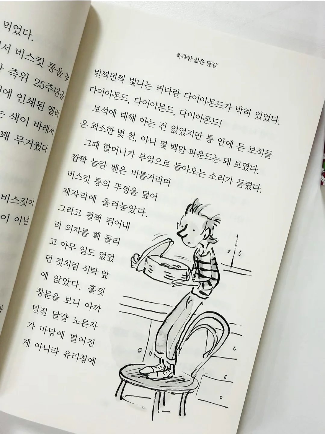 앤프랑 노블레스 식탁 7