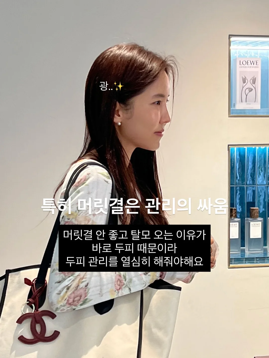 아치형 파티션 4