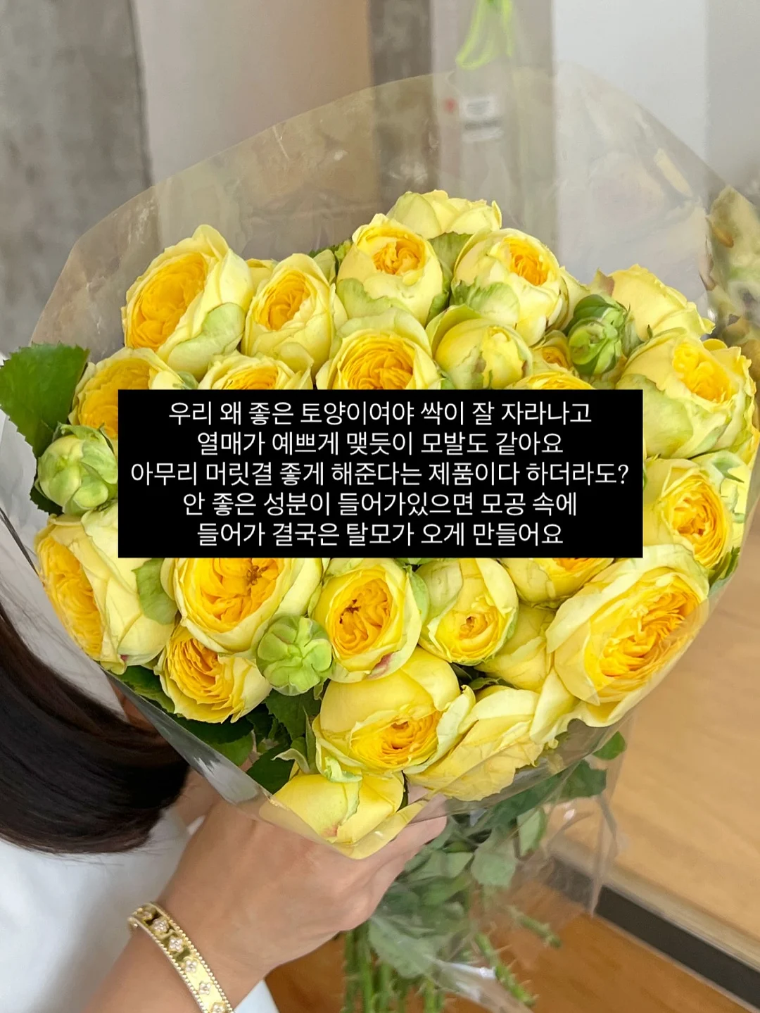 아치형 파티션 5
