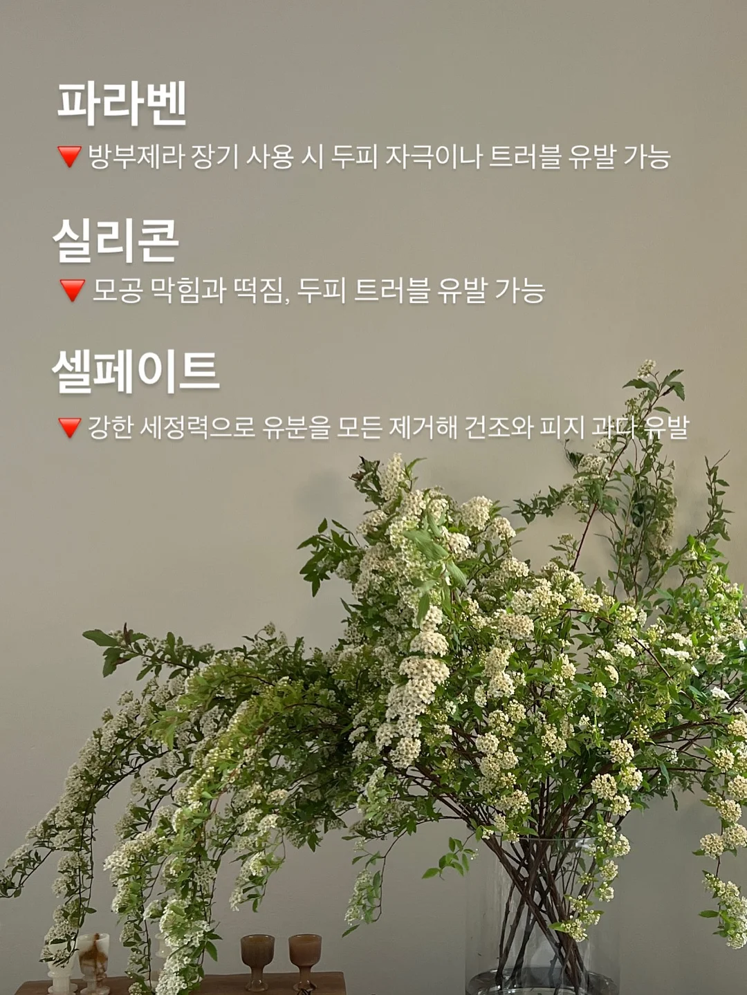 아치형 파티션 8