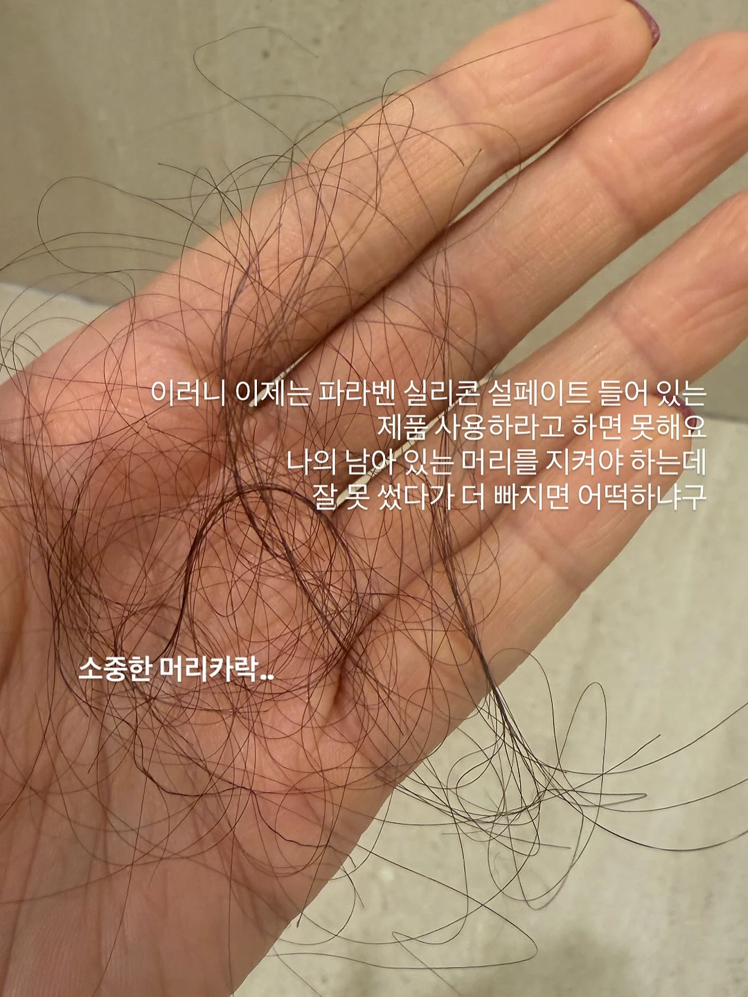 아치형 파티션 9