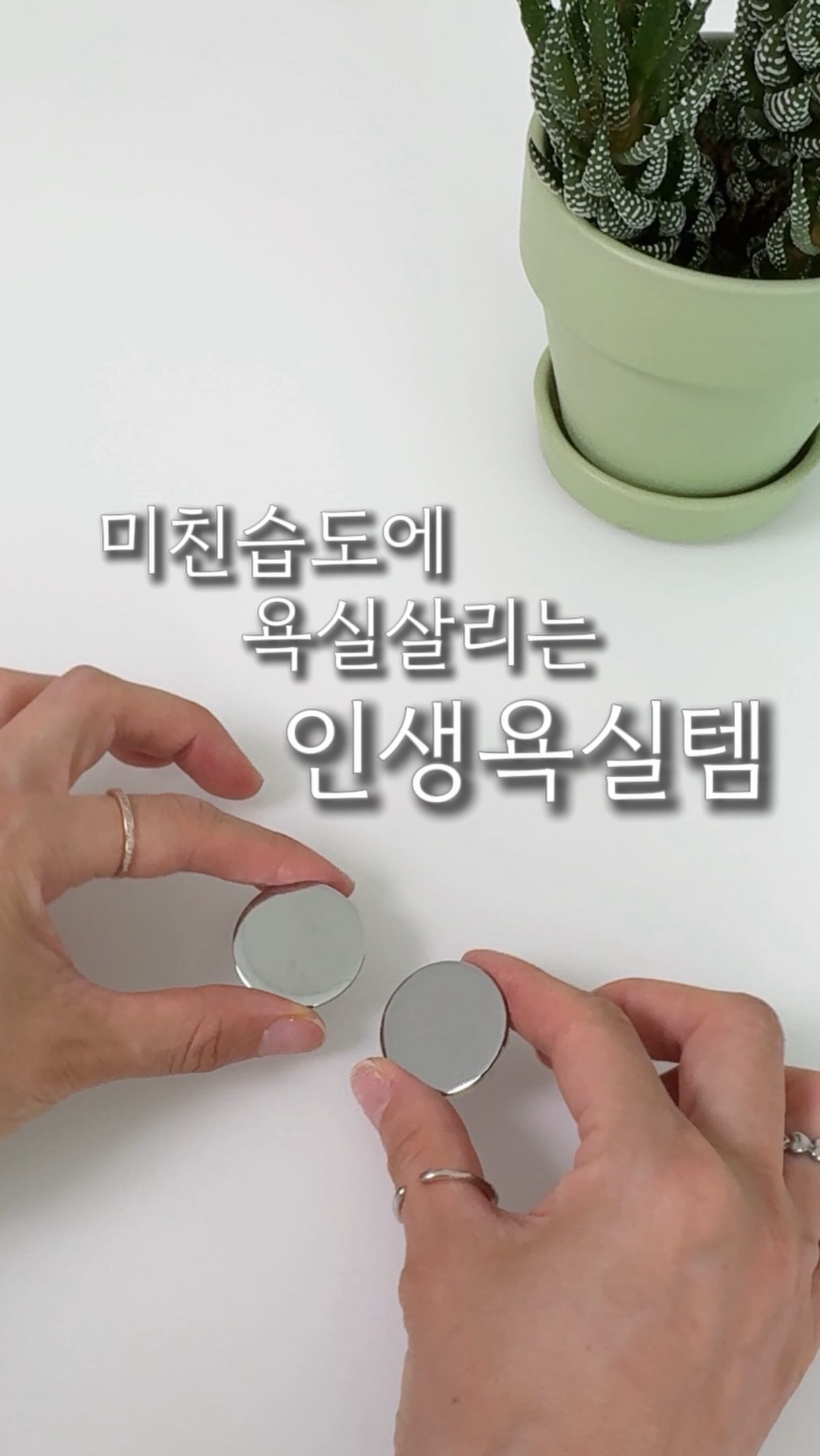 땡땡이 북밴드 4종