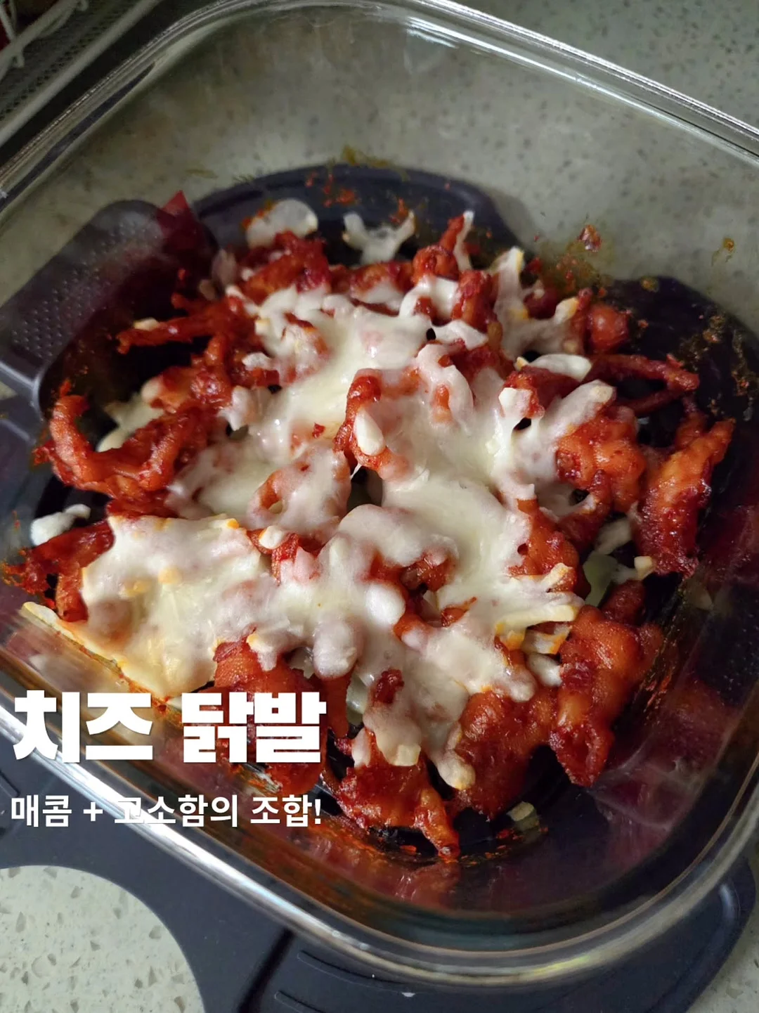 망고라이언 5