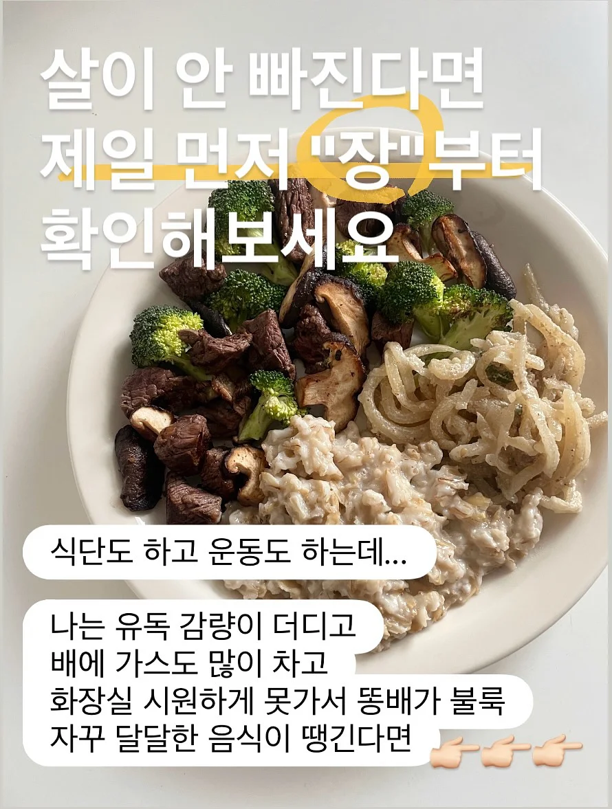 경제 & 영어 & 글쓰기 스터디 1