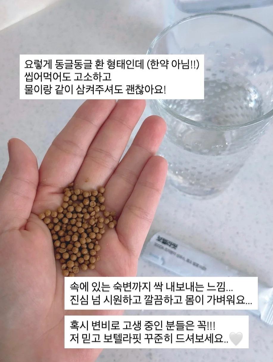 경제 & 영어 & 글쓰기 스터디 11