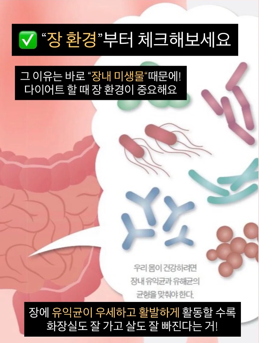 경제 & 영어 & 글쓰기 스터디 2