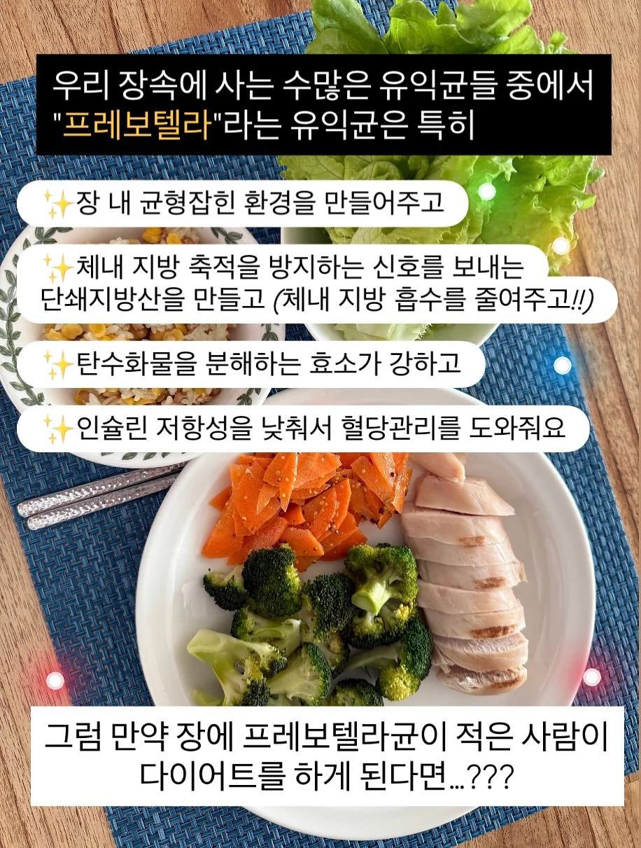 경제 & 영어 & 글쓰기 스터디 3