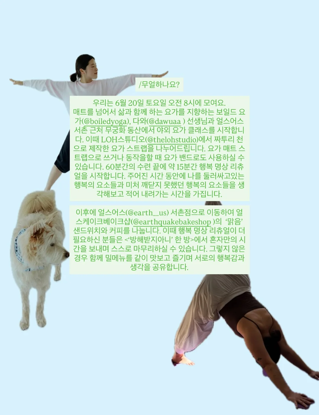 리볼버덤벨 4