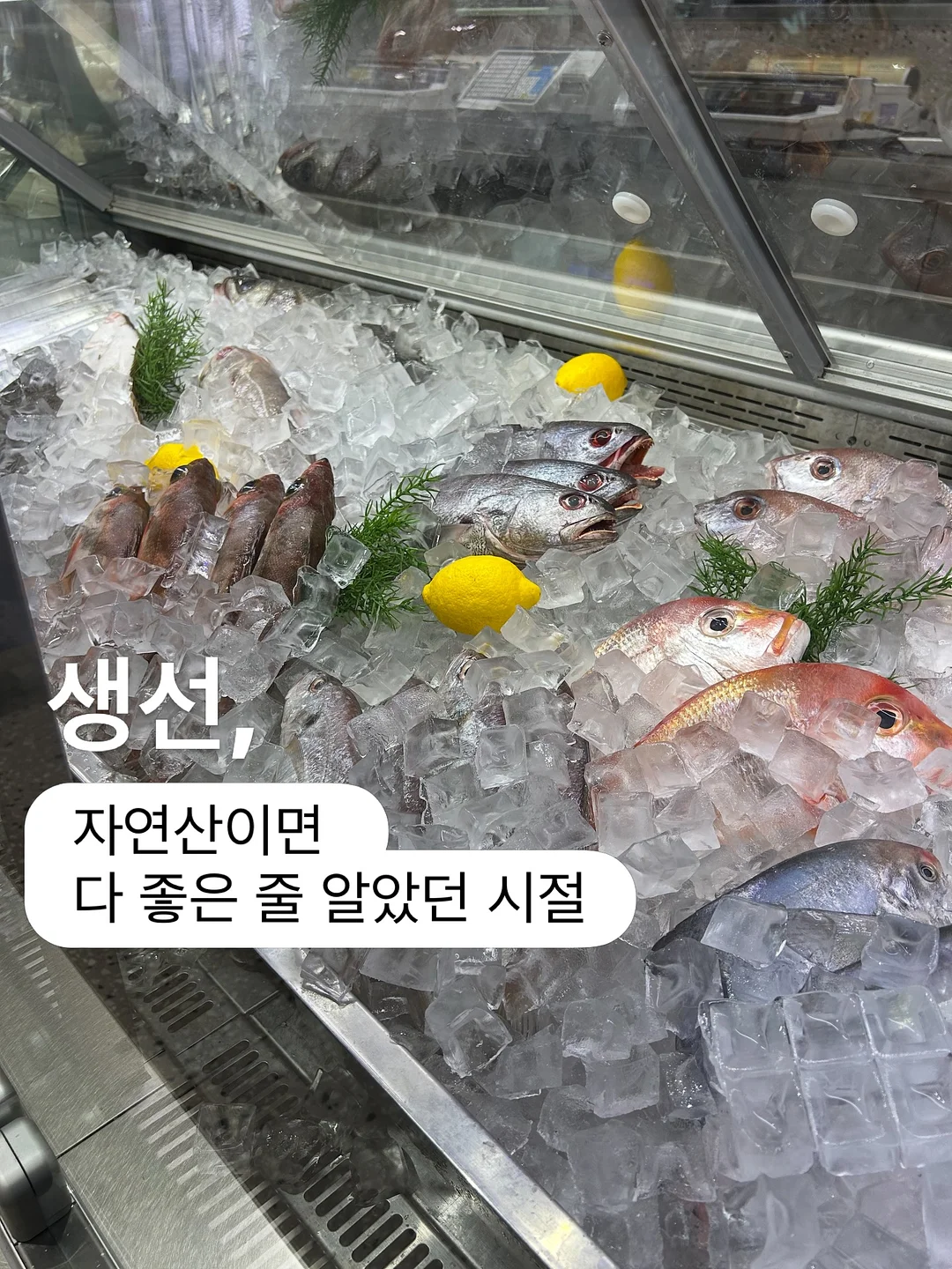 데스크테리어 화이트보드 오거나이저 1