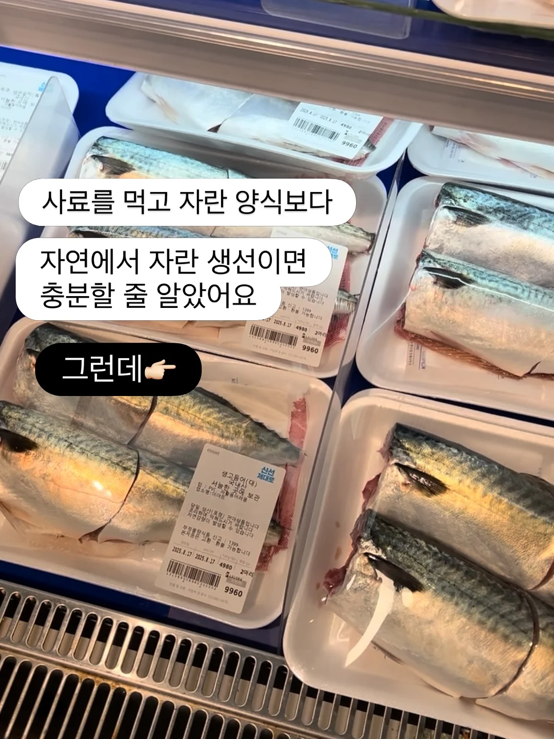 데스크테리어 화이트보드 오거나이저 2