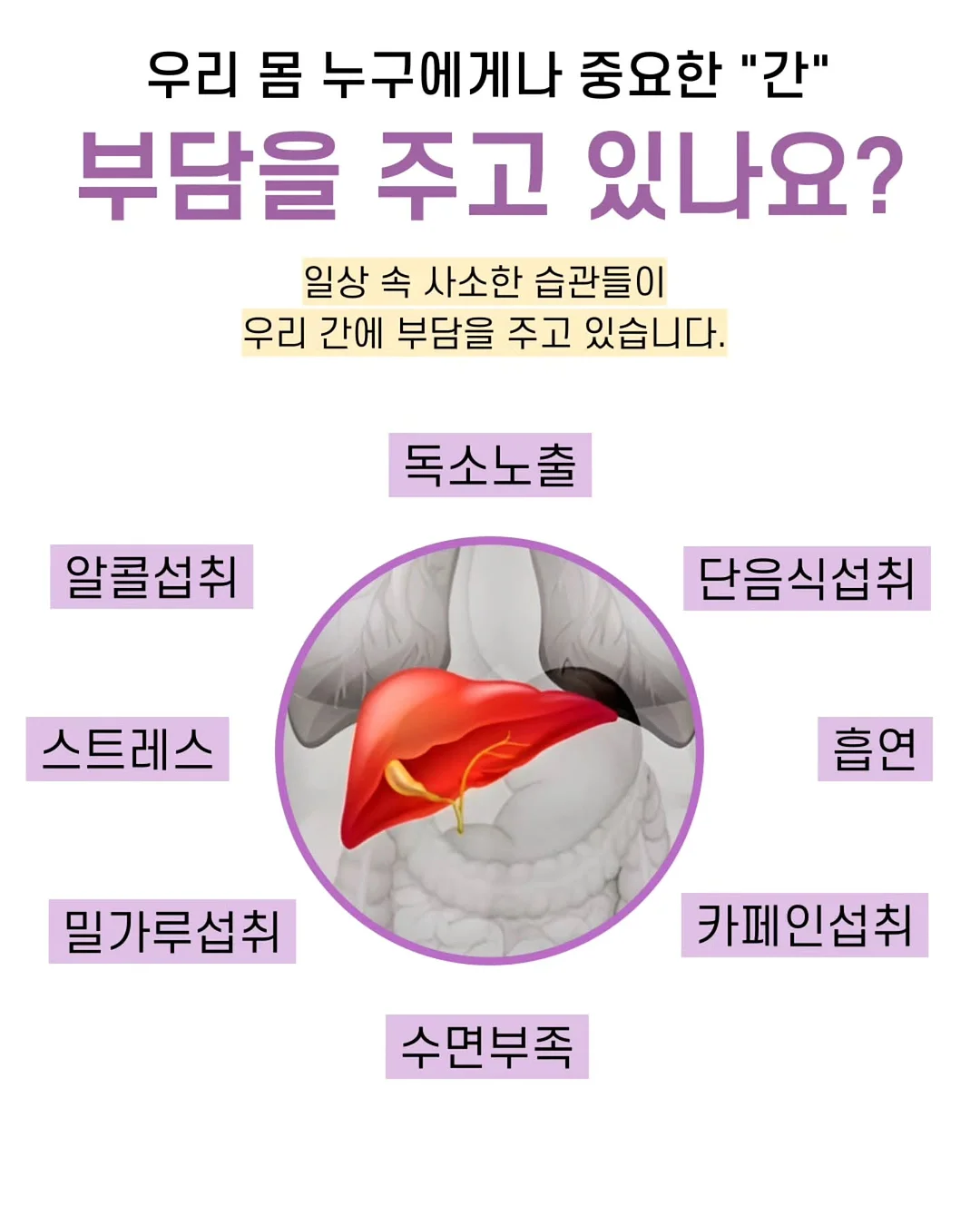 아이리포 속눈썹 컬링자 10종 세트 6