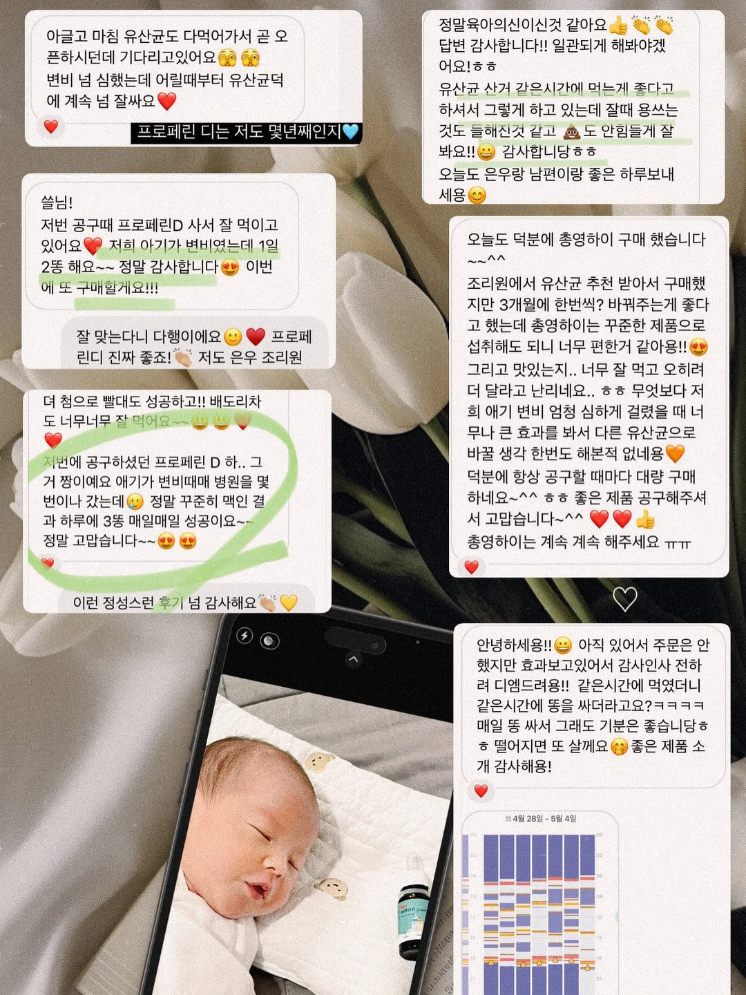 홍맛조개 촉수 갯벌 체험 1