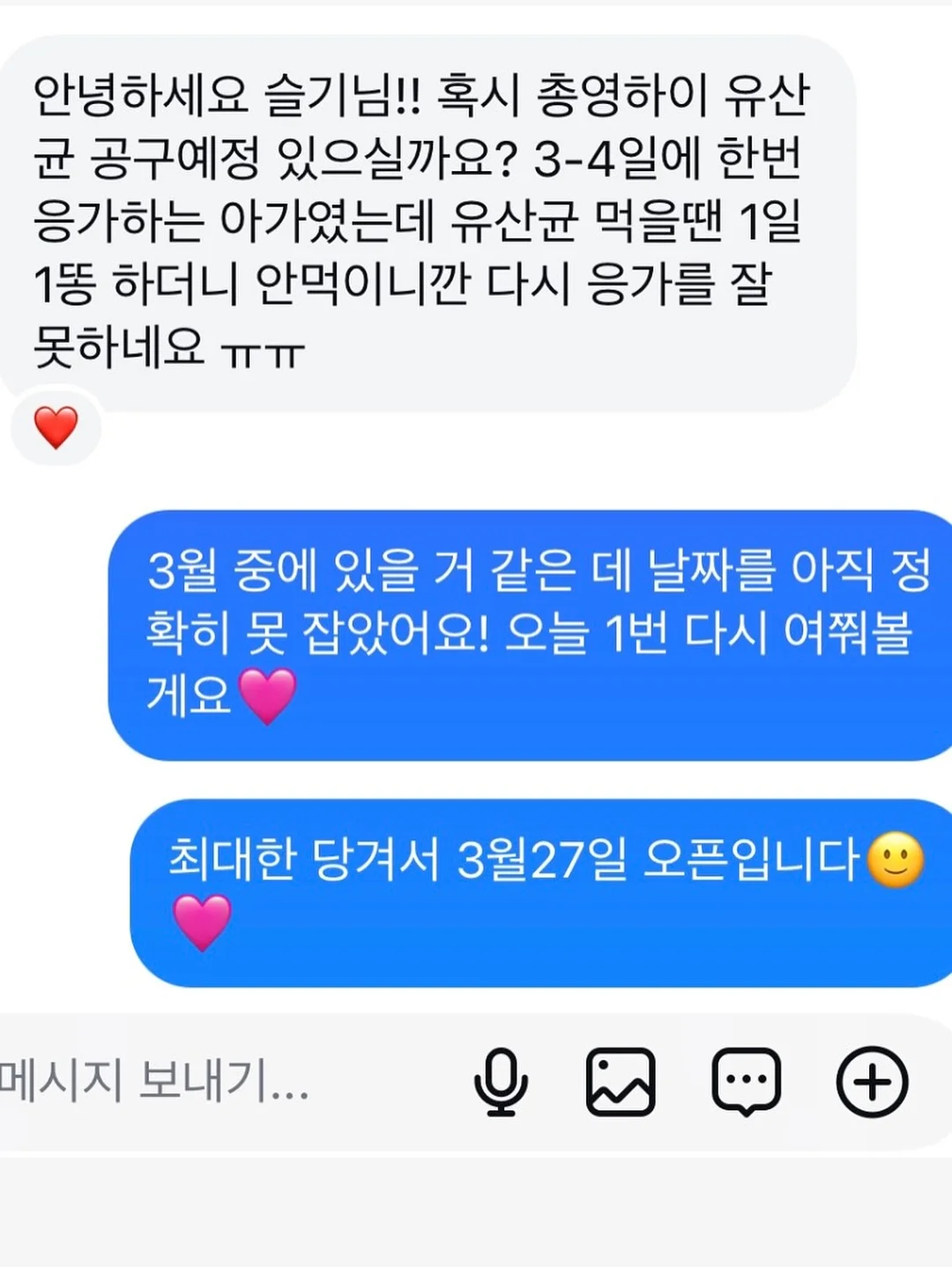 홍맛조개 촉수 갯벌 체험 11
