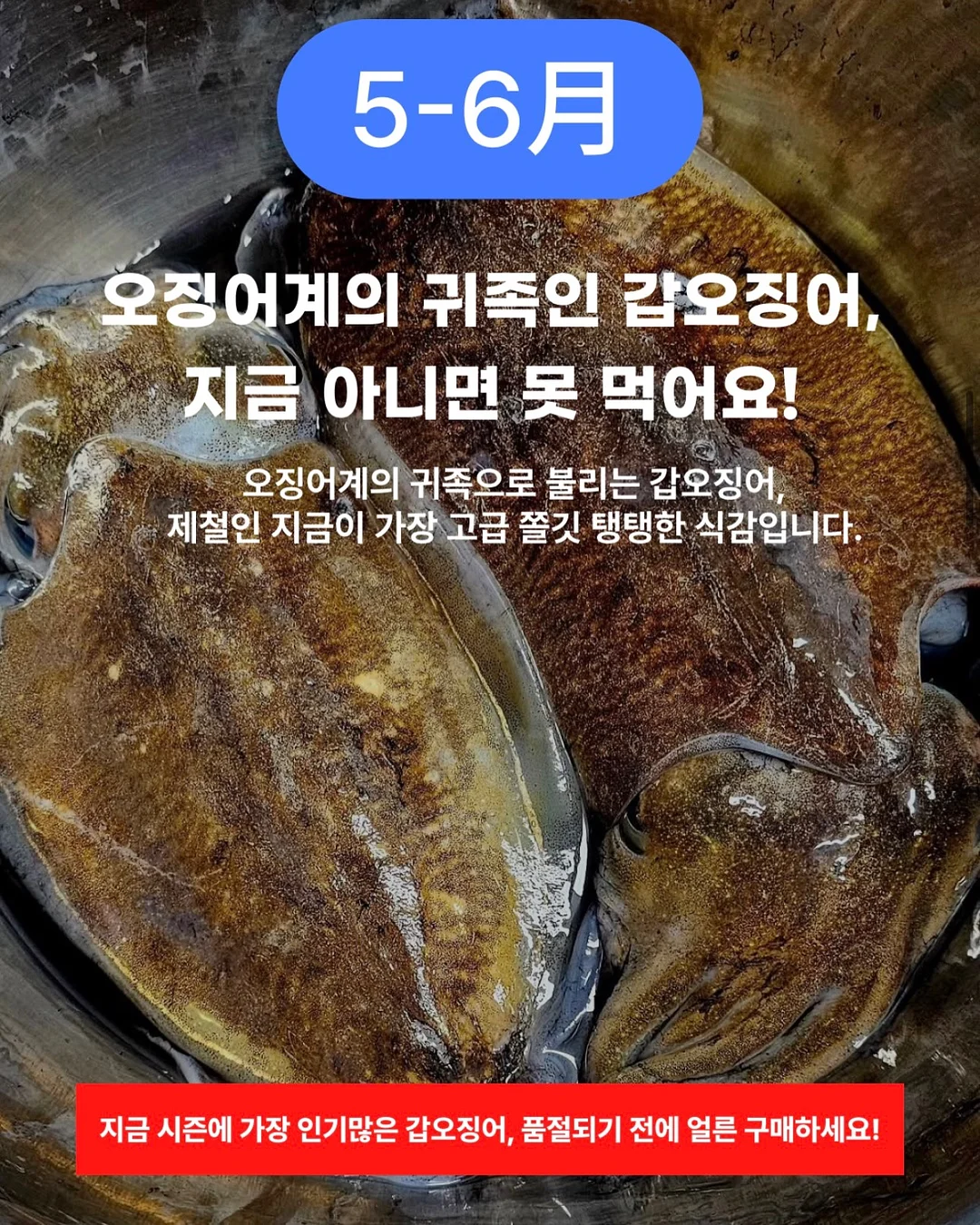퓨어 하네스 4